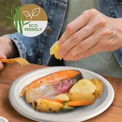 Biologicky odbúrateľné taniere z cukrovej trstiny